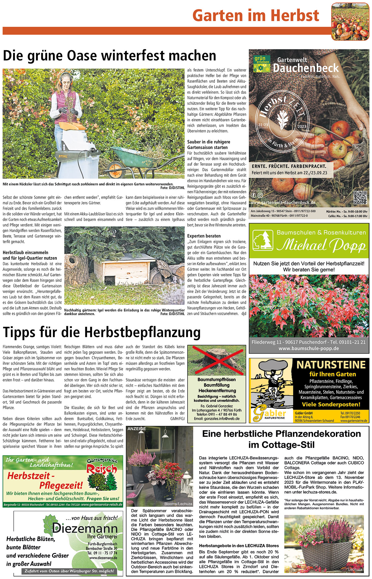 Garten im Herbst Fürth