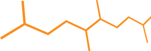 Ultrapolymers