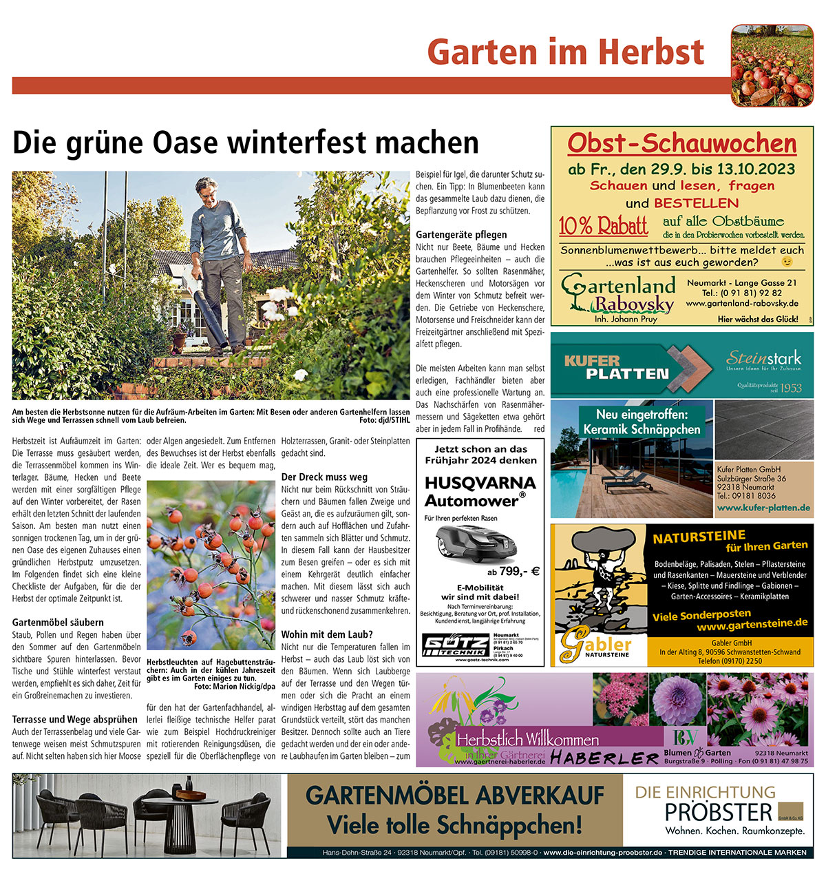 garten-im-herbst